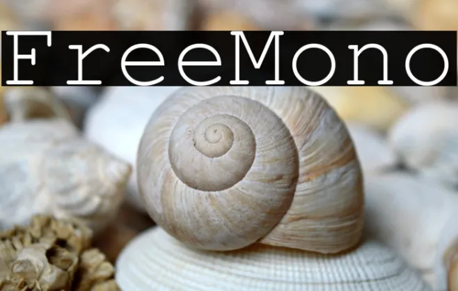 FreeMono Example 3