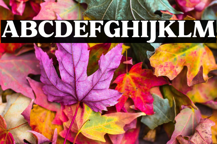 FreeNotulenSerifDisplay-ExtBd Example 1