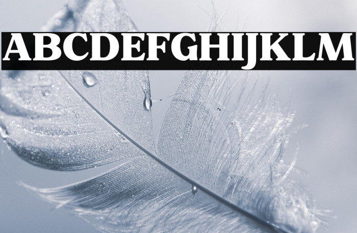 FreeNotulenSerifDisplay-ExtBd Example 2