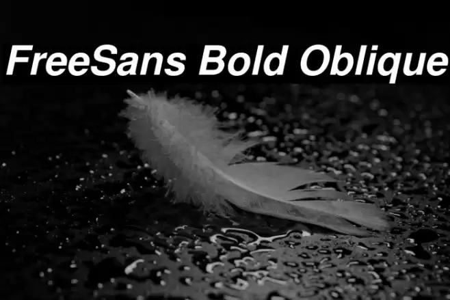 FreeSans Bold Oblique Font examples