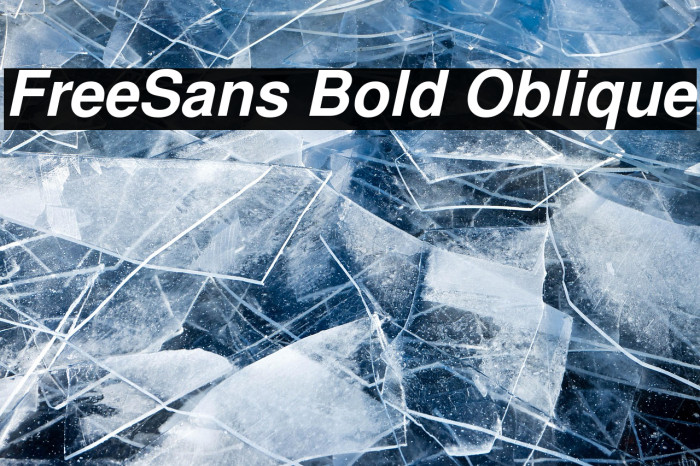 FreeSans Bold Oblique Example 2