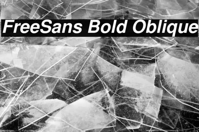 FreeSans Bold Oblique Font examples