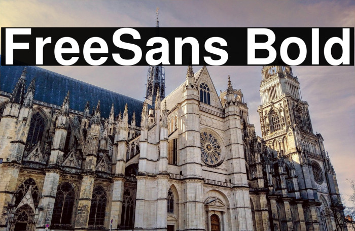 FreeSans Bold Example 3