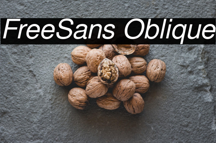 FreeSans Oblique Example 3