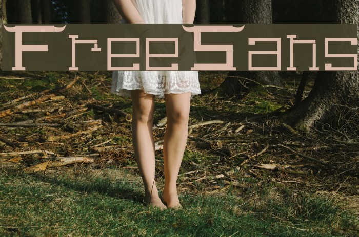 FreeSans Font examples