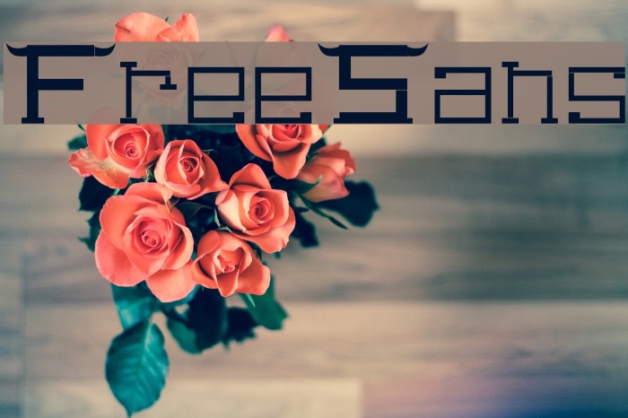 FreeSans Font examples