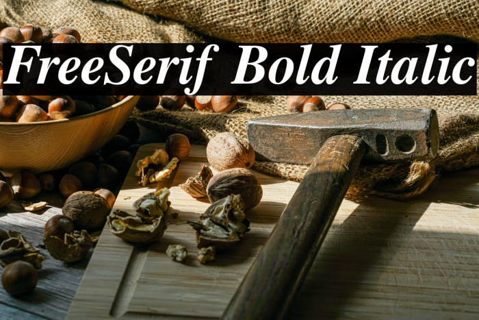 FreeSerif Bold Italic Example 1