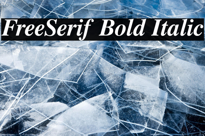 FreeSerif Bold Italic Example 2