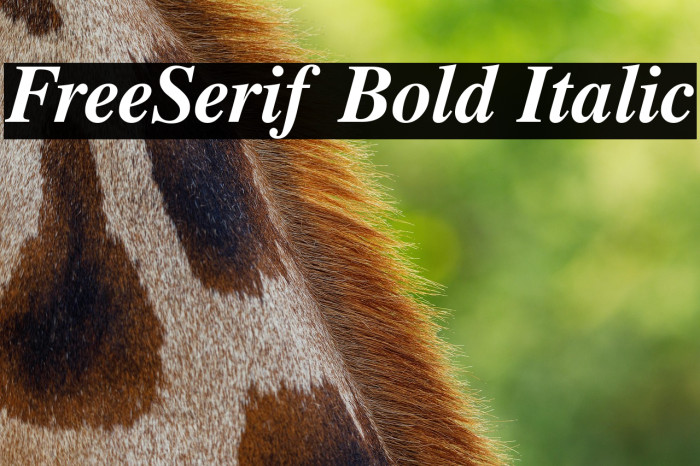 FreeSerif Bold Italic Example 3
