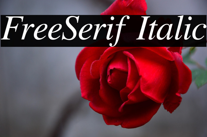 FreeSerif Italic Example 1