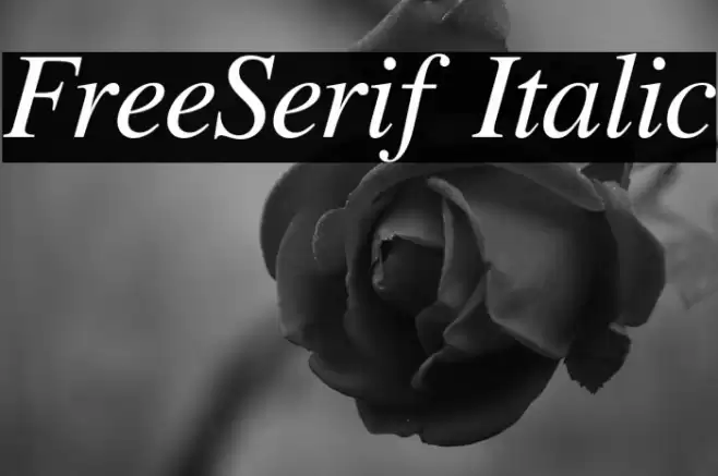 FreeSerif Italic Font examples