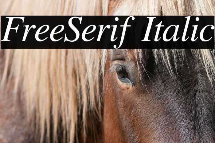 FreeSerif Italic Example 2