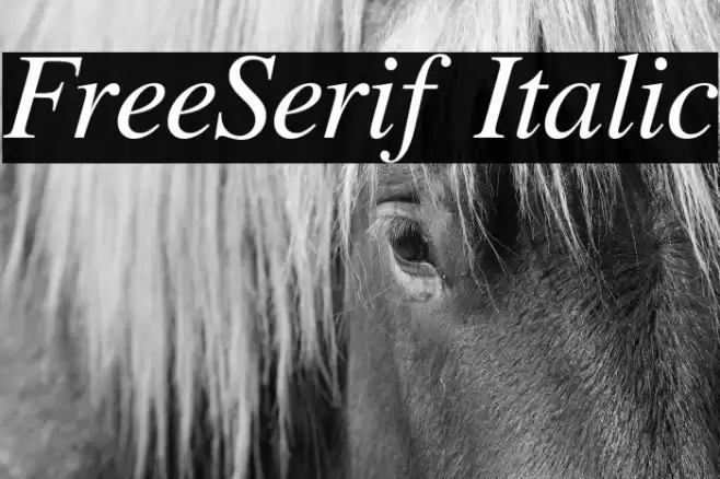 FreeSerif Italic Font examples