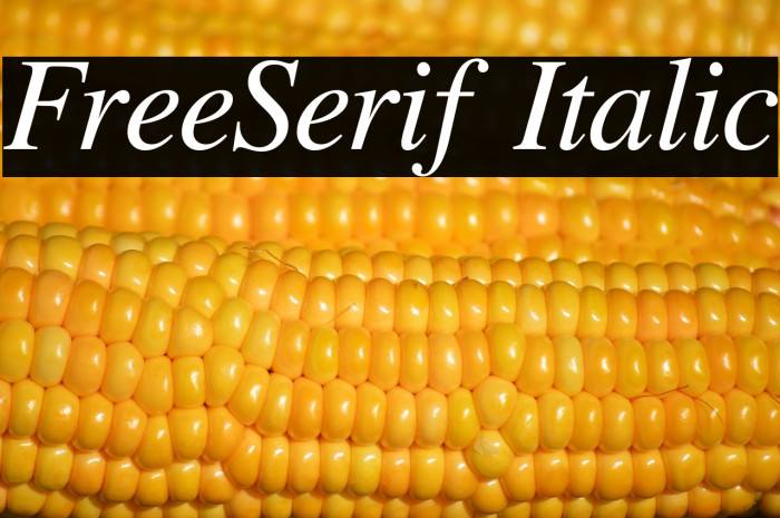 FreeSerif Italic Example 3