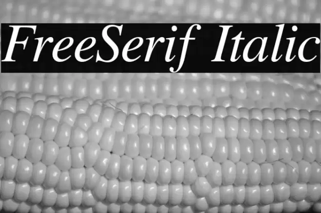 FreeSerif Italic Font examples