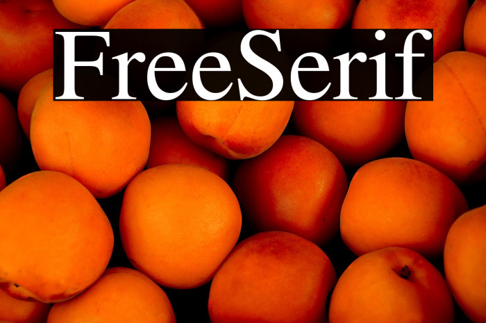 FreeSerif Example 1