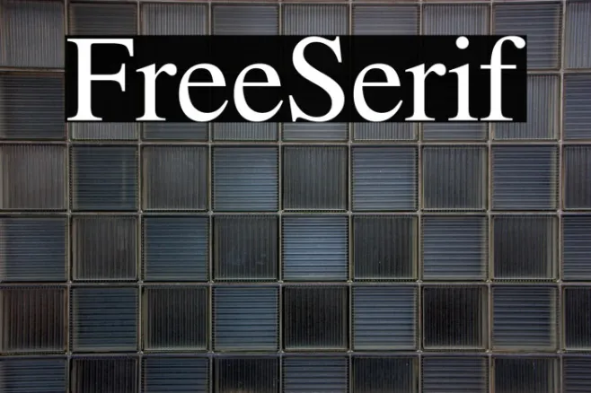 FreeSerif Example 2