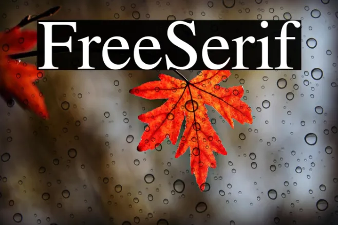 FreeSerif Example 3