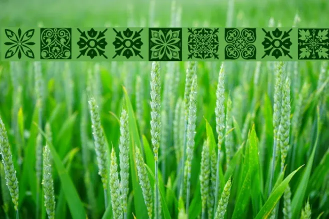 FreeTiles Example 1