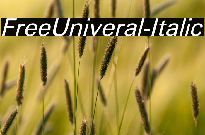 FreeUniveral-Italic Example 3