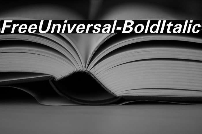 FreeUniversal-BoldItalic Example 1