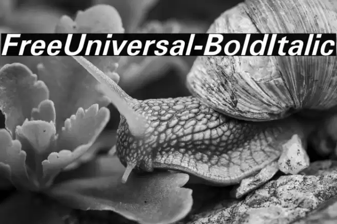 FreeUniversal-BoldItalic Font examples