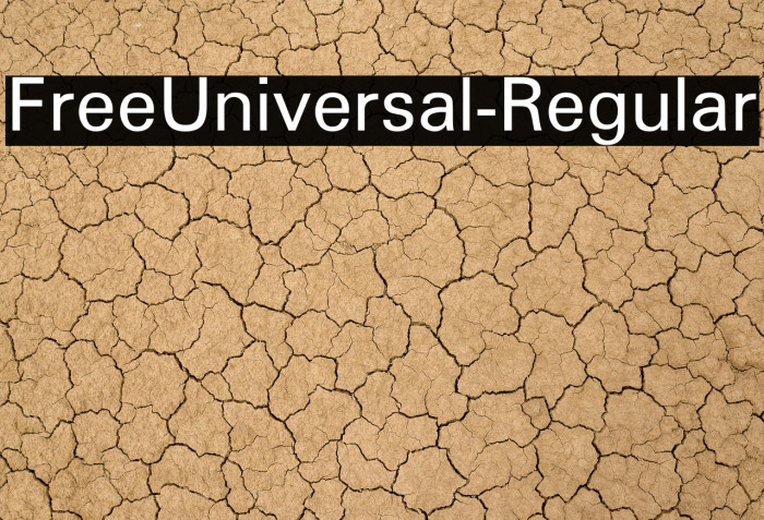 FreeUniversal-Regular Example 1