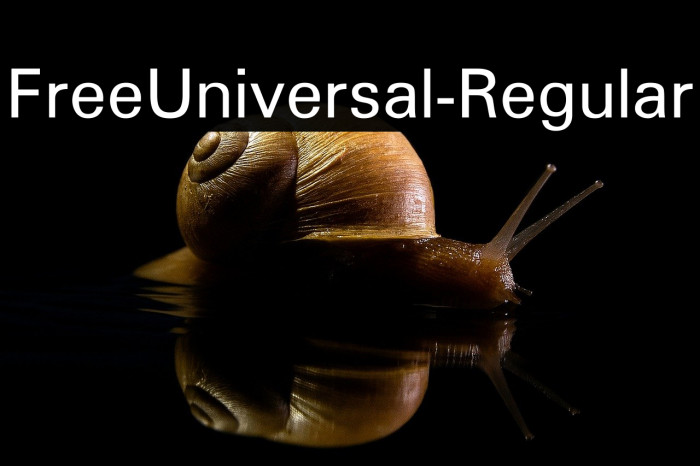 FreeUniversal-Regular Example 2