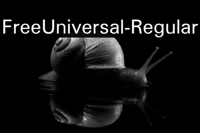 FreeUniversal-Regular Font examples