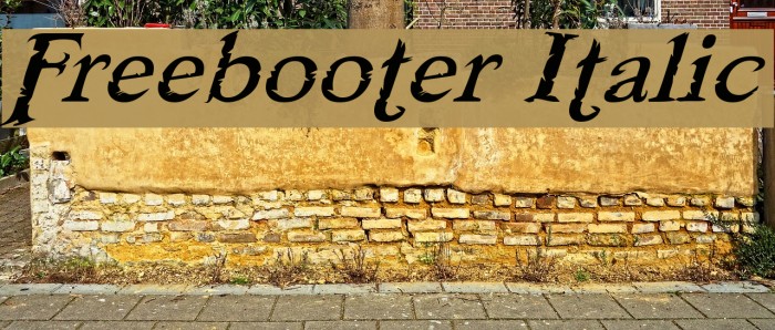 Freebooter Italic Font examples