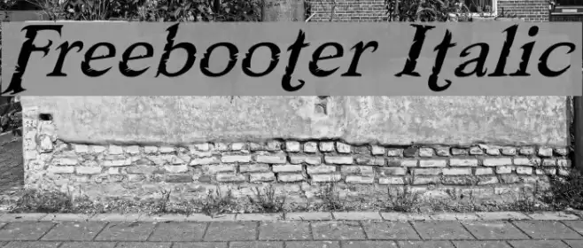 Freebooter Italic Font examples