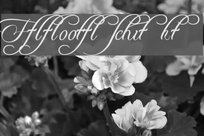 Freebooter Script - Alts Font examples
