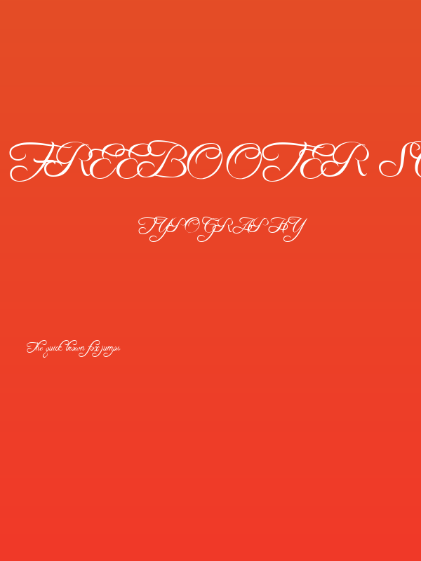 Freebooter Script Poster