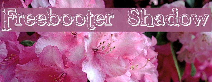 Freebooter Shadow Font examples
