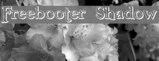 Freebooter Shadow Schriftart examples