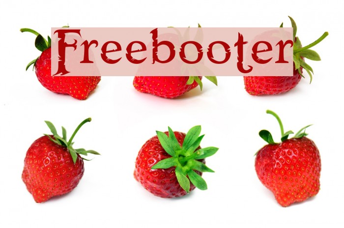 Freebooter Font examples