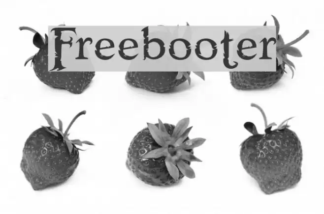 Freebooter Шрифта examples