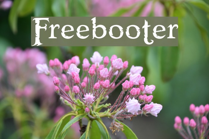 Freebooter Font examples