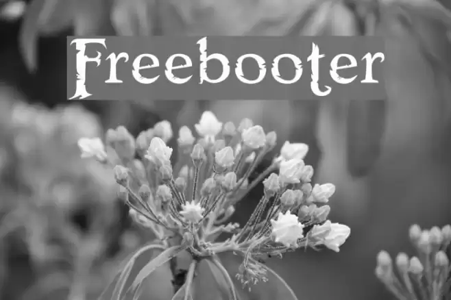 Freebooter Шрифта examples