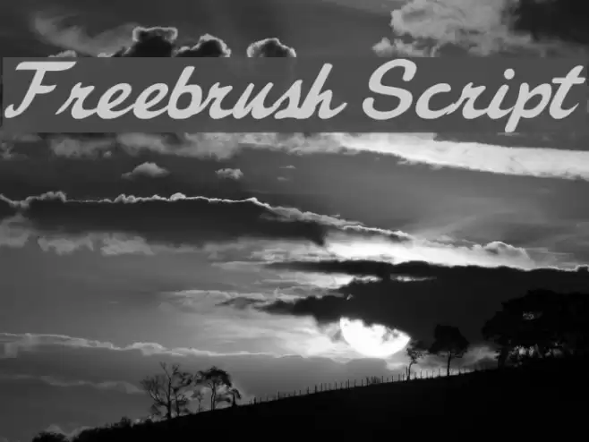 Freebrush Script Font examples