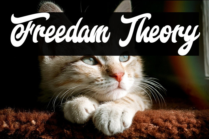 Freedam Theory Example 2