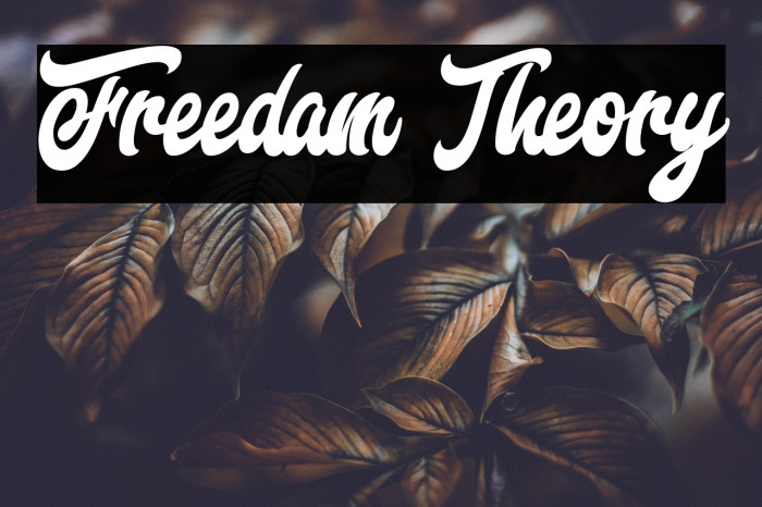 Freedam Theory Example 3