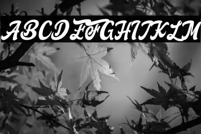 FreedamTheory Font examples