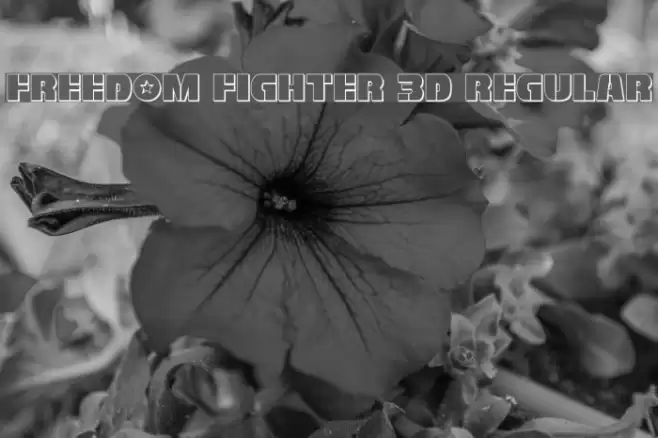Freedom Fighter 3D Regular Font examples