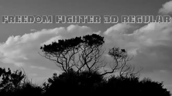 Freedom Fighter 3D Regular Font examples