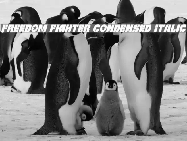 Freedom Fighter Condensed Italic Font examples