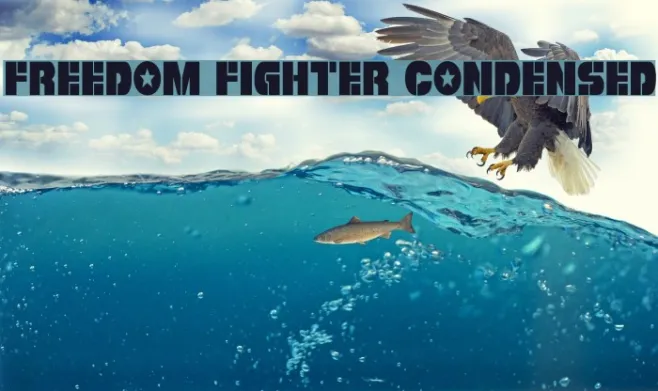 Freedom Fighter Condensed Example 3