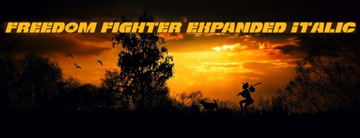 Freedom Fighter Expanded Italic Font examples