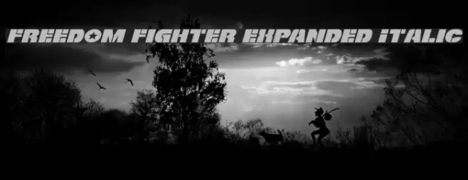 Freedom Fighter Expanded Italic Шрифта examples