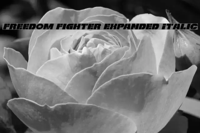 Freedom Fighter Expanded Italic Шрифта examples